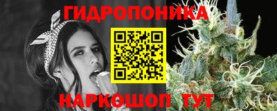 гашик Дубна