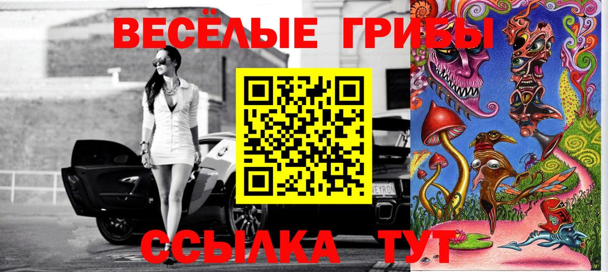 Нефтекумск  Галлюциногенные грибы прущие грибы  Вход с VPN 