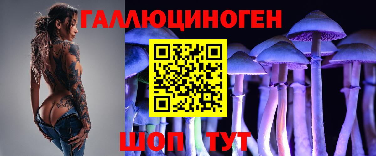 Псилоцибиновые грибы Psilocybine cubensis Нефтекумск