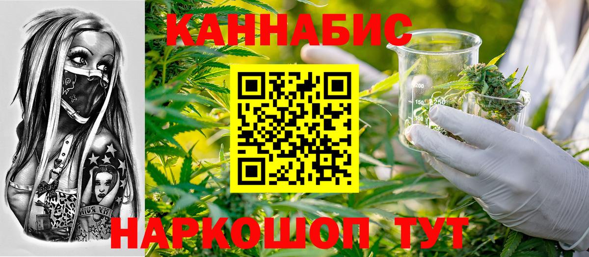 Бошки Шишки White Widow  Вход с VPN  Нефтекумск  Шишки марихуана сатива 